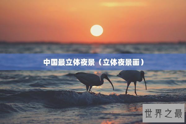 中国最立体夜景（立体夜景画）