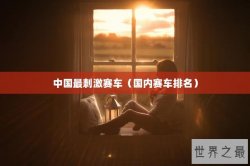中国最刺激赛车（国内赛车排名）