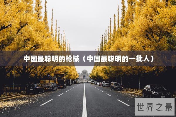 中国最聪明的枪械（中国最聪明的一批人）