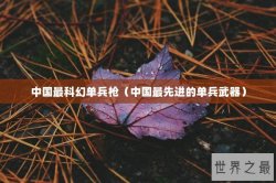 中国最科幻单兵枪（中国最先进的单兵武器）