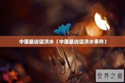 中国最凶猛洪水（中国最凶猛洪水事件）