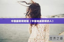 中国最聪明老板（中国谁最聪明的人）
