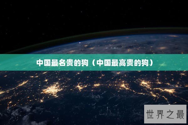 中国最名贵的狗（中国最高贵的狗）