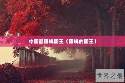中国最落魄国王（落魄的国王）