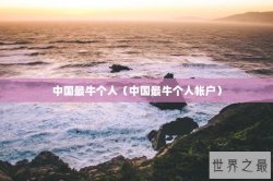 中国最牛个人（中国最牛个人帐户）