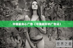 中国最良心广告（中国最好的广告词）