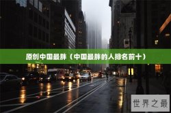 原创中国最胖（中国最胖的人排名前十）