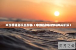 中国特种部队最神秘（中国最神秘的特种兵部队）