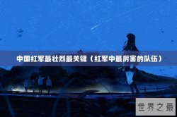 中国红军最壮烈最关键（红军中最厉害的队伍）