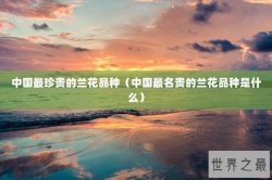 中国最珍贵的兰花品种（中国最名贵的兰花品种是什么）
