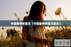 中国最神秘国王（中国最神秘国王排名）