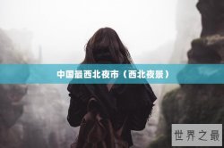 中国最西北夜市（西北夜景）
