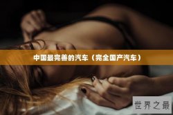 中国最完善的汽车（完全国产汽车）