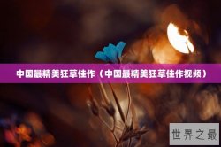 中国最精美狂草佳作（中国最精美狂草佳作视频）