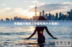中国最火毛衣（中国毛衣十大名牌）