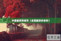 中国最拼命城市（全国最拼的省份）