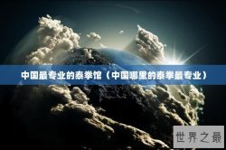 中国最专业的泰拳馆（中国哪里的泰拳最专业）