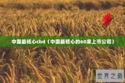 中国最核心cbd（中国最核心的60家上市公司）