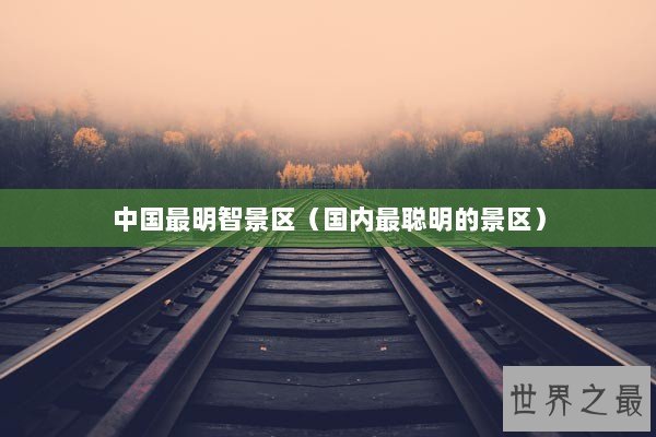 中国最明智景区（国内最聪明的景区）