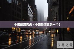 中国最漂亮虎（中国最漂亮的一个）