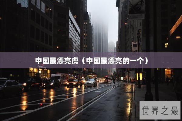 中国最漂亮虎（中国最漂亮的一个）