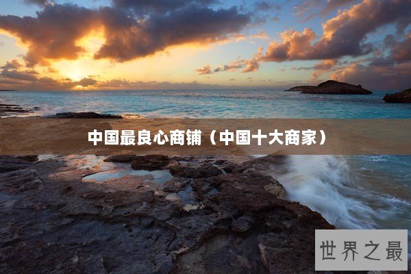 中国最良心商铺（中国十大商家）
