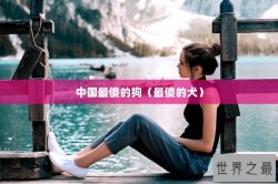 中国最傻的狗（最傻的犬）