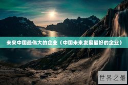 未来中国最伟大的企业（中国未来发展最好的企业）