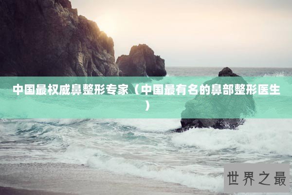 中国最权威鼻整形专家（中国最有名的鼻部整形医生）