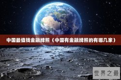中国最值钱金融牌照（中国有金融牌照的有哪几家）