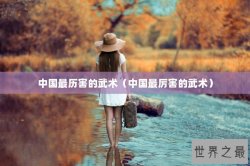 中国最历害的武术（中国最厉害的武术）