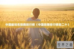 中国最知名微商排行榜（中国微商排行榜前二十）