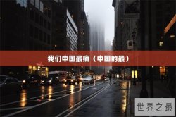 我们中国最痛（中国的最）