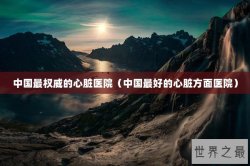 中国最权威的心脏医院（中国最好的心脏方面医院）