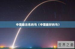 中国最出名的马（中国最好的马）