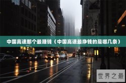 中国高速那个最赚钱（中国高速最挣钱的是哪几条）