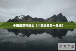 中国最漂亮罐头（中国罐头第一品牌）
