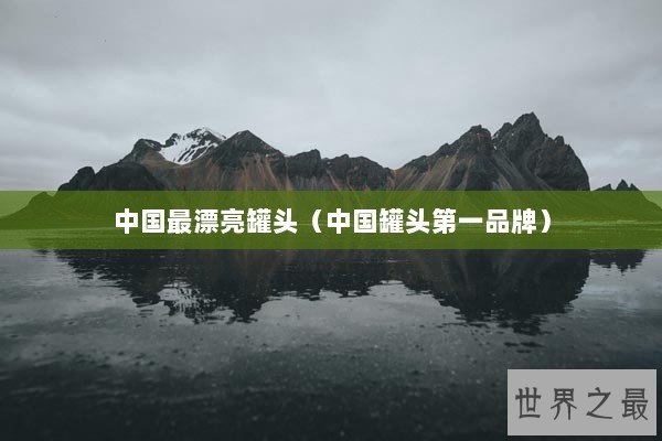 中国最漂亮罐头（中国罐头第一品牌）