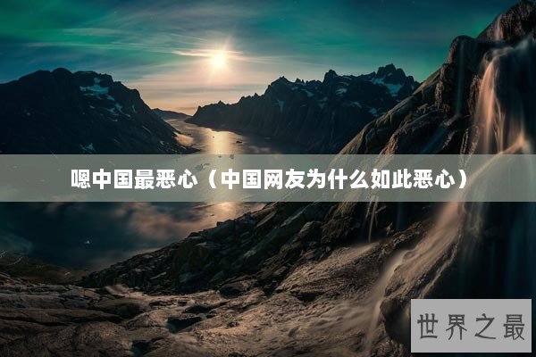 嗯中国最恶心（中国网友为什么如此恶心）