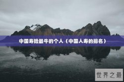 中国寿险最牛的个人（中国人寿的排名）