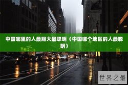 中国哪里的人最胆大最聪明（中国哪个地区的人最聪明）