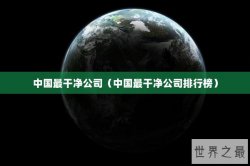 中国最干净公司（中国最干净公司排行榜）