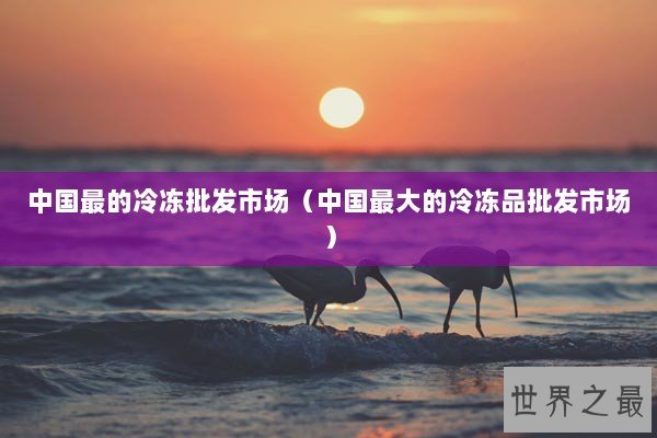 中国最的冷冻批发市场（中国最大的冷冻品批发市场）