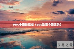 PDC中国最权威（pdc是哪个国家的）