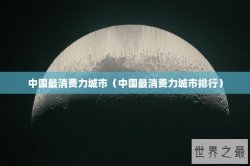 中国最消费力城市（中国最消费力城市排行）
