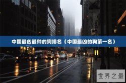 中国最凶最帅的狗排名（中国最凶的狗第一名）