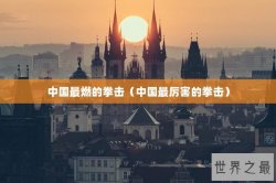 中国最燃的拳击（中国最厉害的拳击）