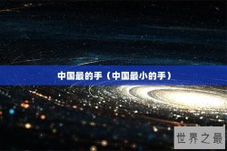 中国最的手（中国最小的手）