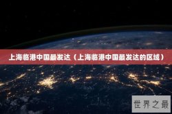 上海临港中国最发达（上海临港中国最发达的区域）