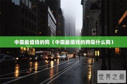 中国最值钱的狗（中国最值钱的狗是什么狗）